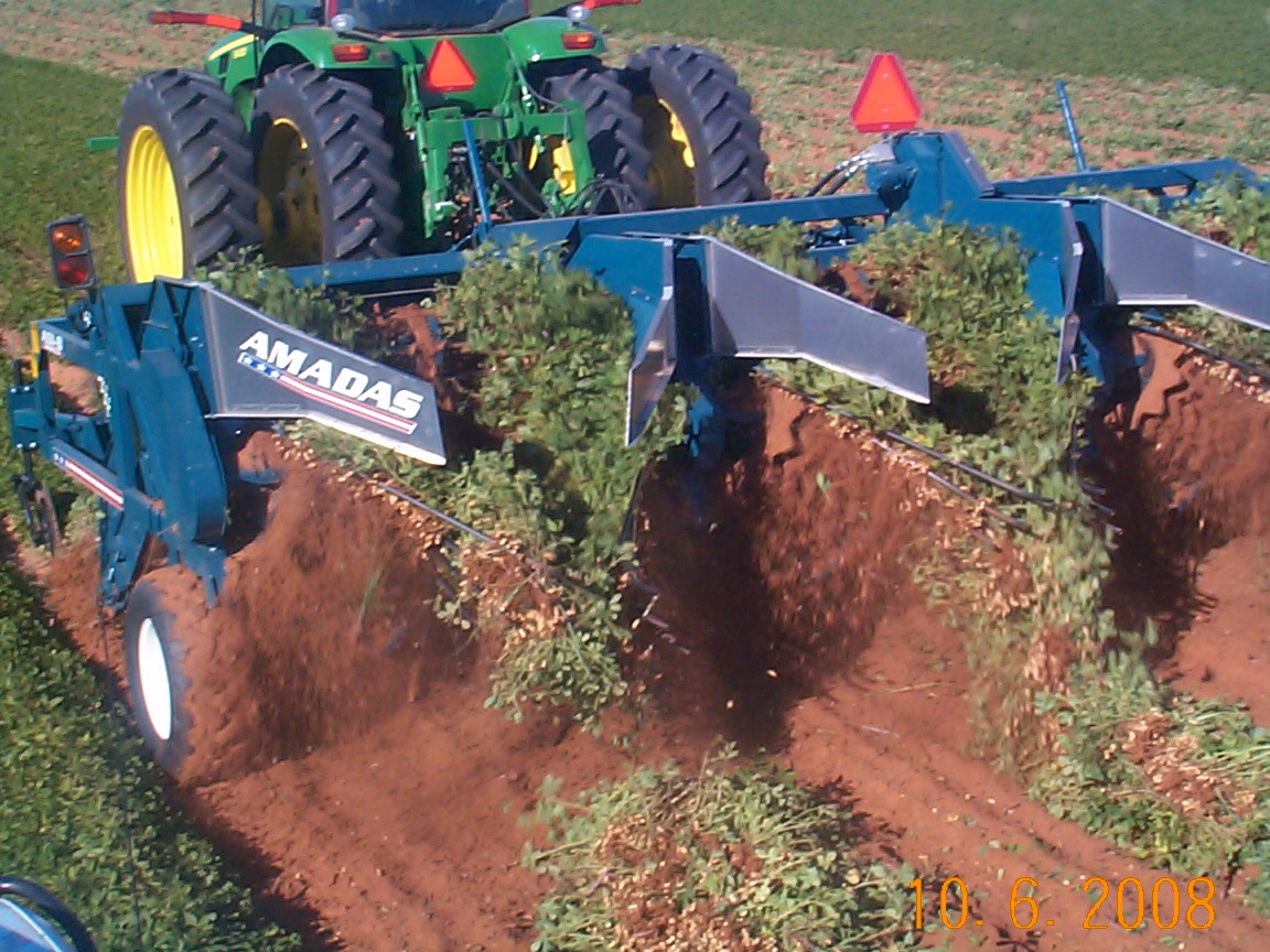 2 Row Kmc Peanut Inverter 1993 KMC 3360 Peanut Harvesting