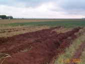 Enlarge photo 35