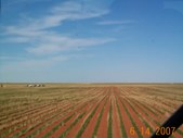 Enlarge photo 36