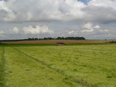 Enlarge photo 13