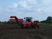 Potato digging