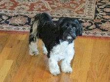 HERITAGEPINES PETS