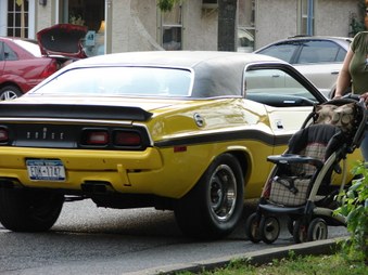 Enlarge photo 59