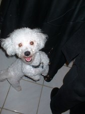 Enlarge photo 11