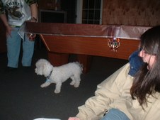 Enlarge photo 5
