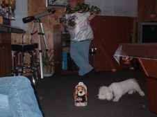 Enlarge photo 7