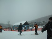 Enlarge photo 18
