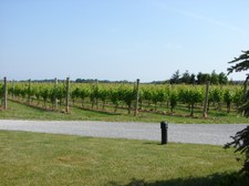 Enlarge photo 54