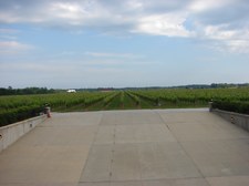 Enlarge photo 93