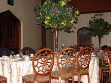 Enlarge photo 135