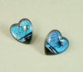 Cow: BUTTERFLY WING JEWELRY