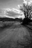 Enlarge photo 62