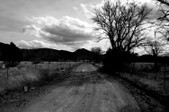 Enlarge photo 63
