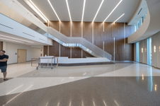 BNI Neuroplex SELECTED VIEWS