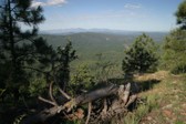 Mogollon Rim 8-27-05