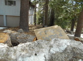 Enlarge photo 16