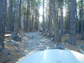 Sierra Trek 2017