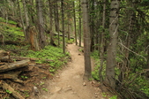 Enlarge photo 30