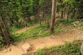 Enlarge photo 31