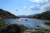 Enlarge photo 9