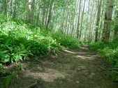 Enlarge photo 10