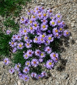 Enlarge photo 25