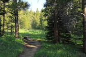 Enlarge photo 11