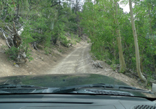 Enlarge photo 4