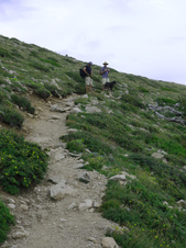 Enlarge photo 15