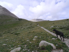Enlarge photo 19