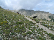 Enlarge photo 17