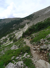 Enlarge photo 13