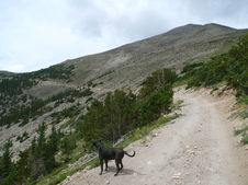 Enlarge photo 12