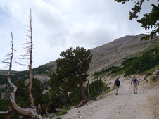 Enlarge photo 11