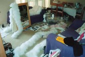 Enlarge photo 16