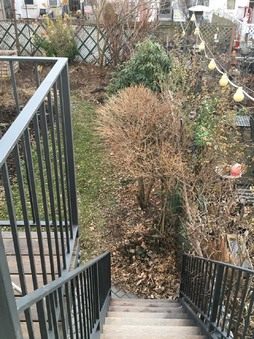 Enlarge photo 45