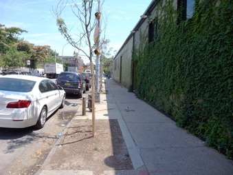 Enlarge photo 59