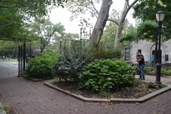 Enlarge photo 102