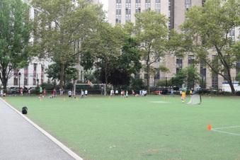 Enlarge photo 55