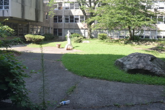Enlarge photo 94