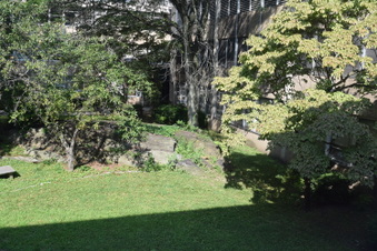 Enlarge photo 51