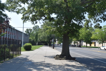 Enlarge photo 30