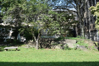 Enlarge photo 51