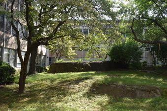 Enlarge photo 52