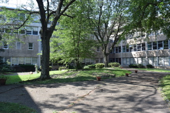 Enlarge photo 53