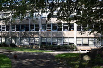 Enlarge photo 55