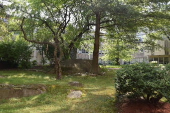 Enlarge photo 59