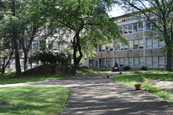 Enlarge photo 63