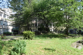 Enlarge photo 67
