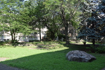 Enlarge photo 69